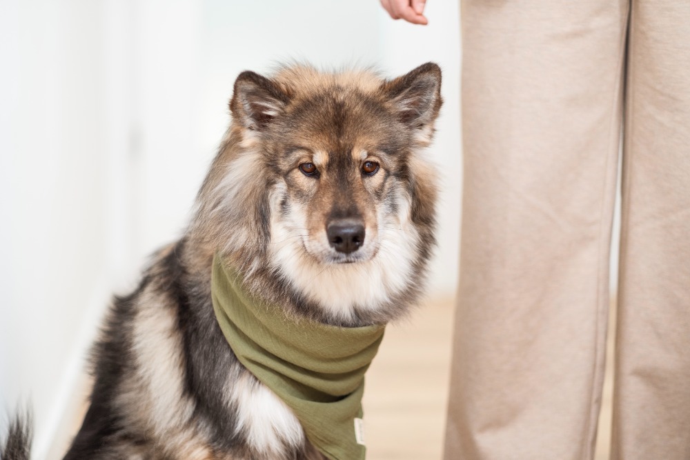 psychische-gesundheit-essen-team-dea