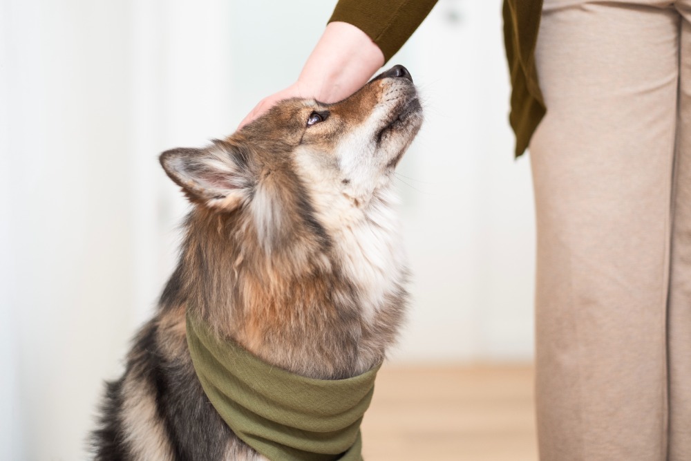 psychische-gesundheit-essen-team-dea