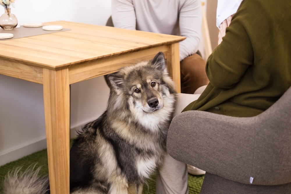 psychische-gesundheit-essen-team-dea