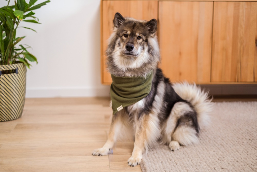 psychische-gesundheit-essen-team-dea